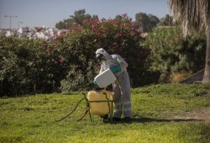 Sevilla: Suben a diez los casos confirmados por el virus del Nilo