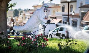 Siguen las fumigaciones frente al virus del Nilo