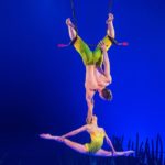 Cirque du Soleil · TOTEM, nuevo espectáculo en Sevilla del Circo del Sol · Bajo su Gran Carpa Blanca