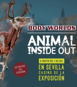 Animal Inside Out Sevilla – Casino de la Exposición