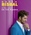 Concierto David Bisbal "En tus planes" en Sevilla