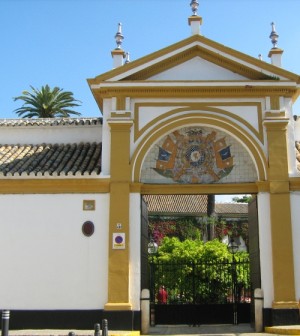El Palacio de Las Dueñas de Sevilla abrió  sus puertas al público