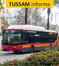 TUSSAM: Cambios en los servicios de autobuses los días 24 y 31 de diciembre en Sevilla