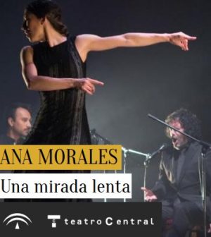 Una mirada lenta. Ana Morales y artista invitado David Coria. Flamenco Viene del Sur 2017. Teatro Central, Sevilla